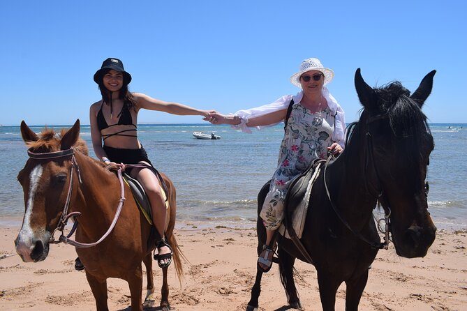 Horse Riding 3 Hours Beach, Desert, & Swimming By Horse in red sea - Hurghada - Riding the Desert for About an Hour: Where the Views Do the Work
