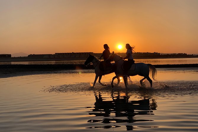 Horse Riding 3 Hours Beach, Desert, & Swimming By Horse in red sea - Hurghada - The Beach Hour: Photo-Friendly Riding With Real Salt-Air Energy