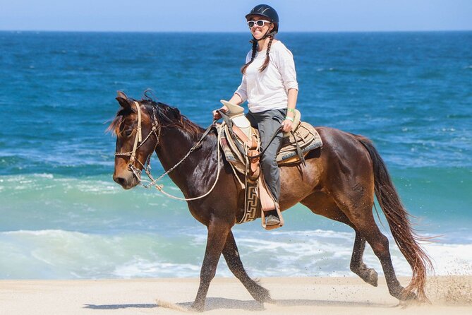 Horse Riding on the beach With Transfer From Sharm El Sheikh - Key Things That Make This Horse Ride Worth Your Time