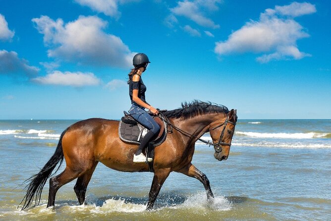 Horse Riding on the beach With Transfer From Sharm El Sheikh - Guides, Instruction, and the Human Touch That Makes It Feel Personal