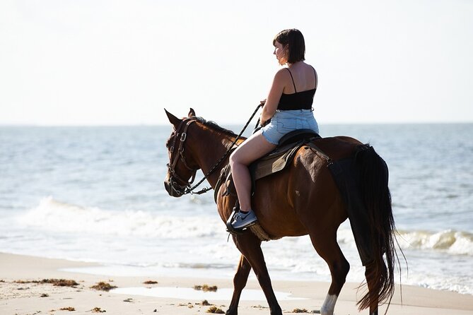 Horse Riding on the beach With Transfer From Sharm El Sheikh - Who This Tour Suits Best (And Who Should Rethink It)