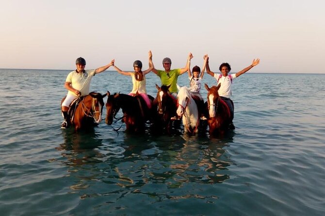 Horse Riding Tour 2 Hours on Sea And Desert & Transfer -Hurghada - From Hotel Pickup to the Farm, How the 3-Hour Plan Plays Out