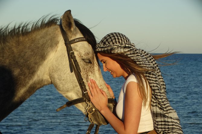 Horse Riding Tour 2 Hours on Sea And Desert & Transfer -Hurghada - Safety, Helmets, and the Rules You Must Know