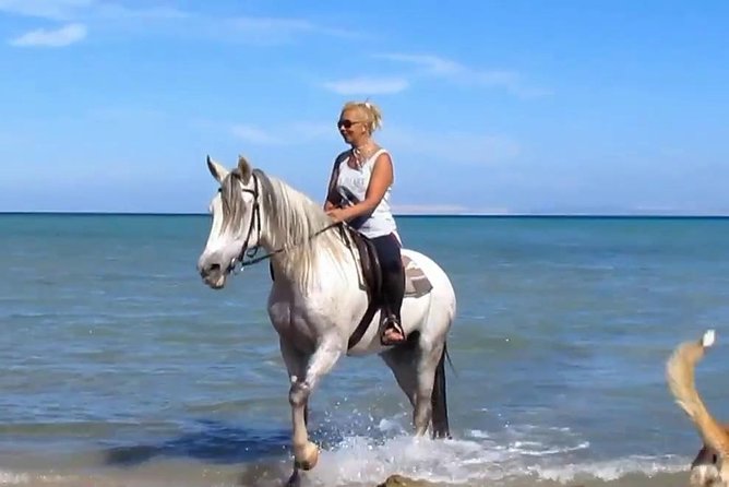 Horse Riding Tour Two Hours Sun & Sea With Transfer - Hurghada - Key highlights for a Hurghada desert and sea horse ride