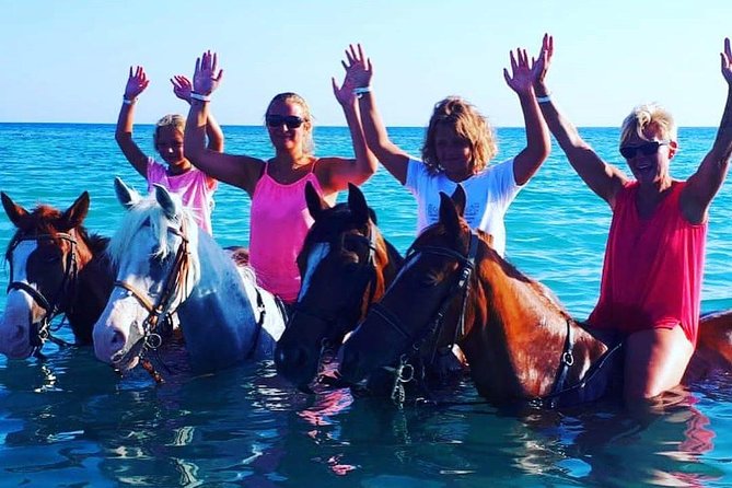 Horse Riding Tour Two Hours Sun & Sea With Transfer - Hurghada - How the transfers keep your day stress-free