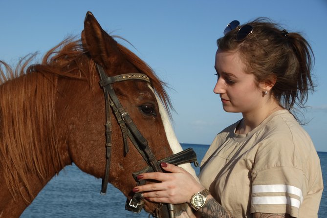Horse Riding Tour Two Hours Sun & Sea With Transfer - Hurghada - Horses and suitability: who this tour fits best