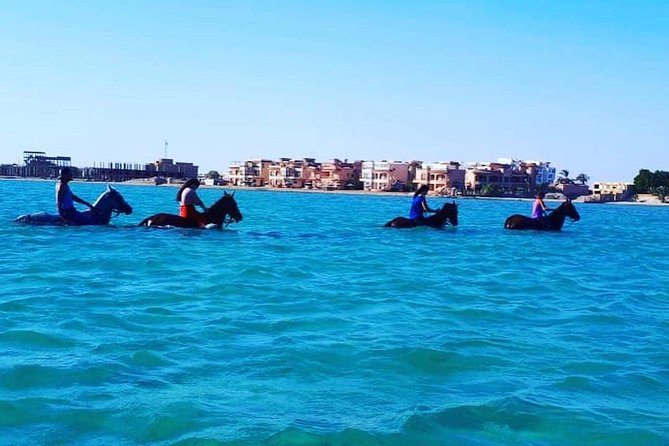 Horse Riding Tour Two Hours Sun & Sea With Transfer - Hurghada - Price and what can add cash at the last minute