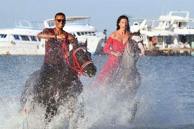 Horse Riding Tour Two Hours Sun & Sea With Transfer - Hurghada - Riding into the Red Sea: the part most people remember