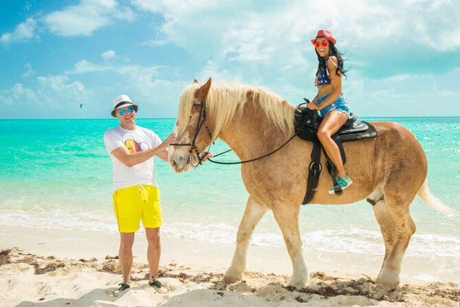 Horseback Riding with Pickup and Drop-off from Sharm El Sheikh - Key highlights from this Sharm horseback ride