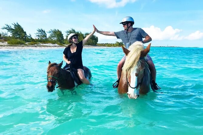 Horseback Riding with Pickup and Drop-off from Sharm El Sheikh - Horses, helmets, and pacing: what beginners should actually focus on