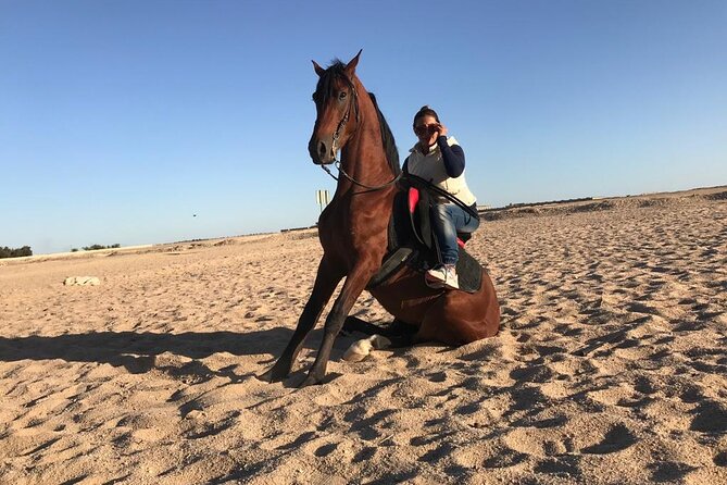 Horseback Riding with Pickup and Drop-off from Sharm El Sheikh - Desert time without the chaos: how the ride shifts inland