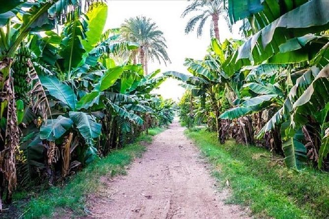 Hot air Balloon Ride In luxor - After landing: tea or coffee, your certificate, and photo add-ons