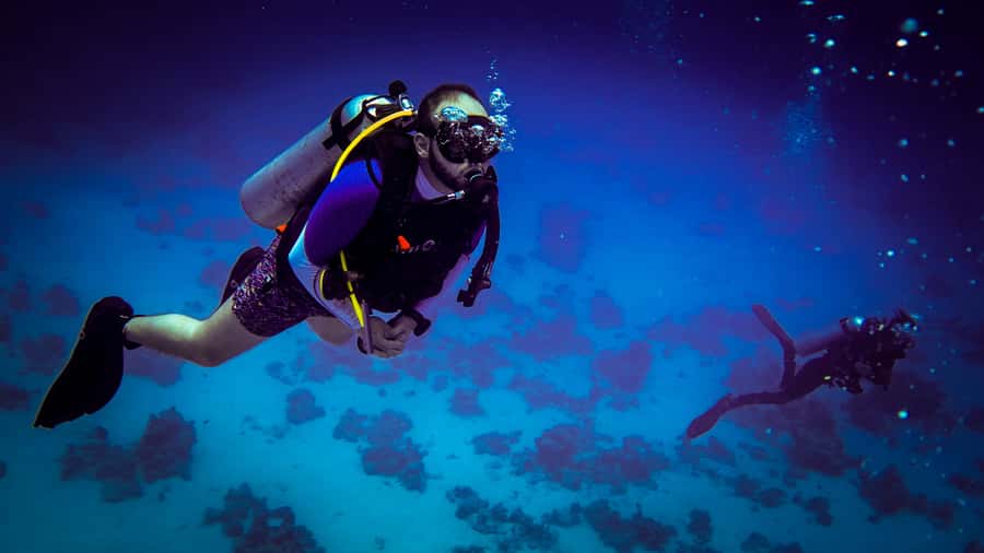Hurghada: 1, 2, 3, 4, or, 5-Day Scuba Diving Package - A 7-hour Red Sea rhythm: pickup, coffee, briefing, and reef time