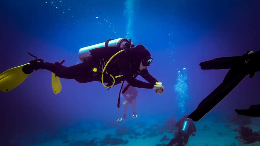 Hurghada: 1, 2, 3, 4, or, 5-Day Scuba Diving Package - What you get included: tanks, weight belts, lunch, and private transfers