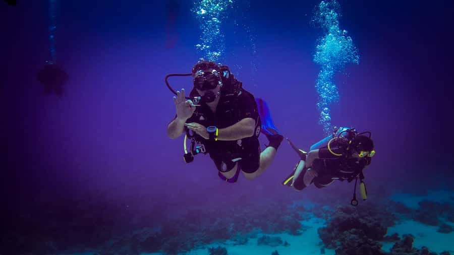 Hurghada: 1, 2, 3, 4, or, 5-Day Scuba Diving Package - Beginners welcome with the intro option, pros get the multi-day structure