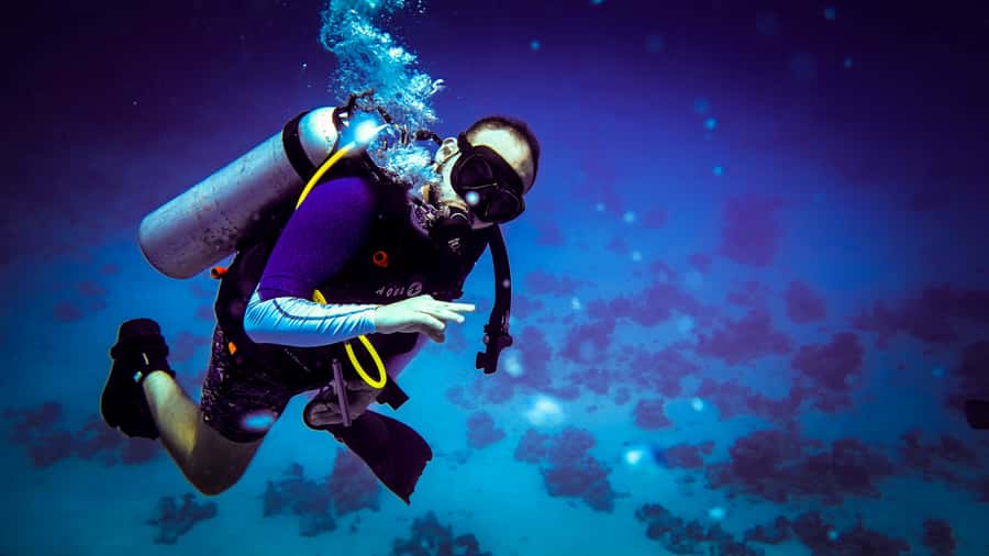 Hurghada: 1, 2, 3, 4, or, 5-Day Scuba Diving Package - The day at a glance: what happens when you arrive