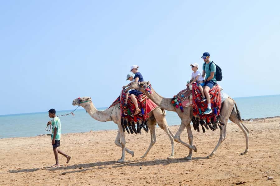 Hurghada: 1-Hour Desert & Beach Camel Ride with Transfers - Key points to know before you go