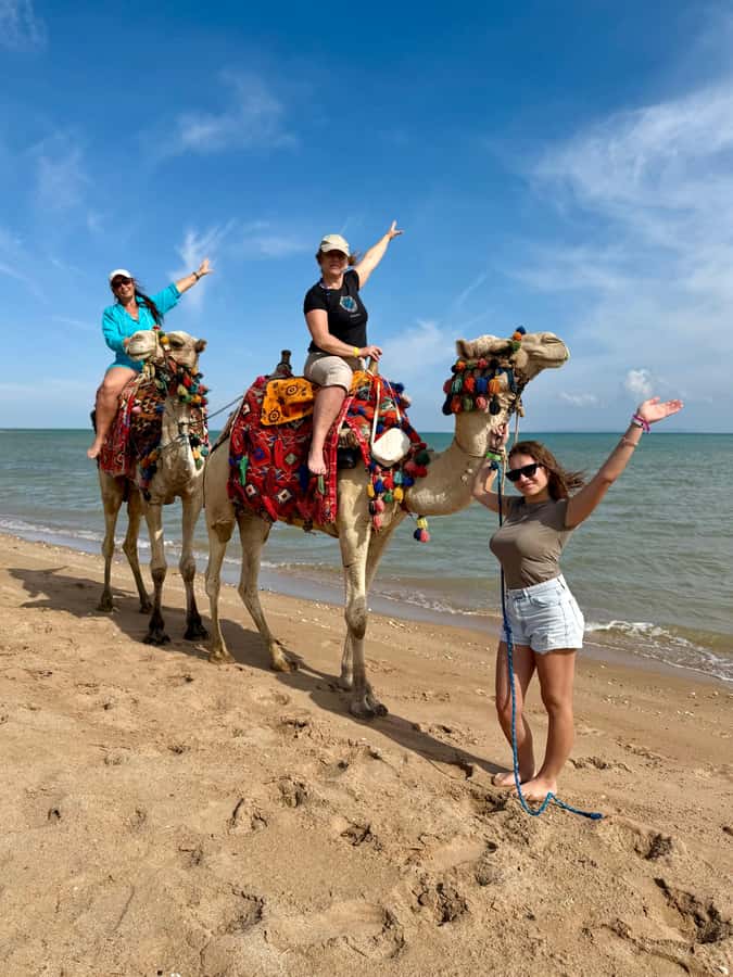 Hurghada: 1-Hour Desert & Beach Camel Ride with Transfers - Lucky Horses Stable: the animal time that makes it feel real