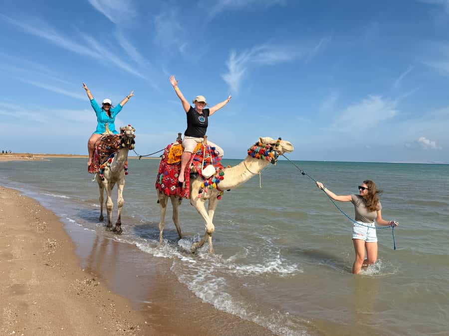 Hurghada: 1-Hour Desert & Beach Camel Ride with Transfers - The camel ride itself: what you are doing during the hour