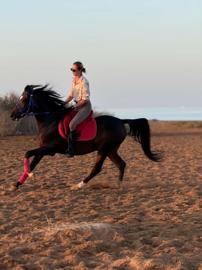 Hurghada: 1-Hour Desert & Beach Camel Ride with Transfers - Guides and photos: why phone help is a big deal
