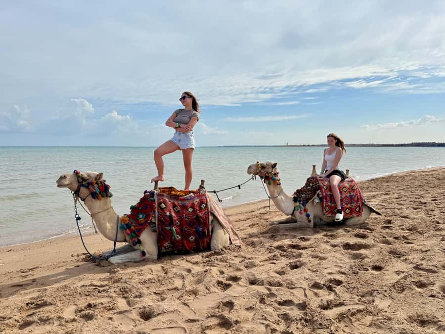 Hurghada: 1-Hour Desert & Beach Camel Ride with Transfers - Practical advice for comfort on a camel ride