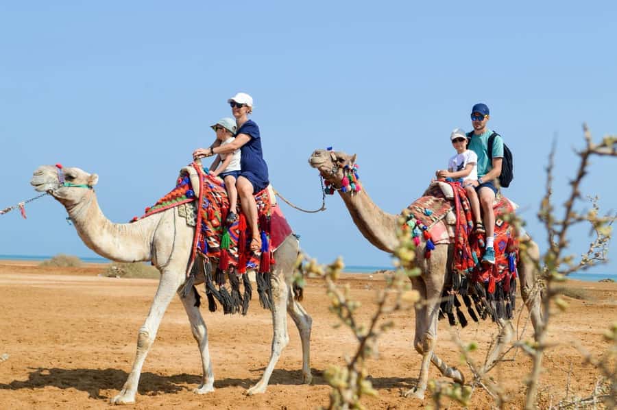 Hurghada: 1-Hour Desert & Beach Camel Ride with Transfers - How the timing really plays out with hotel transfers