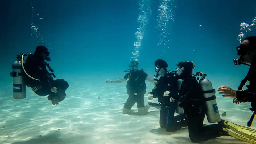 Hurghada: 3-Day PADI Open Water Diving Course - Key takeaways before you book