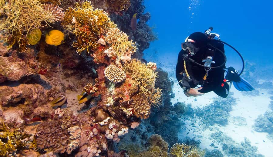 Hurghada: 3-Day PADI Open Water Diving Course - Who this course fits, and who should skip it