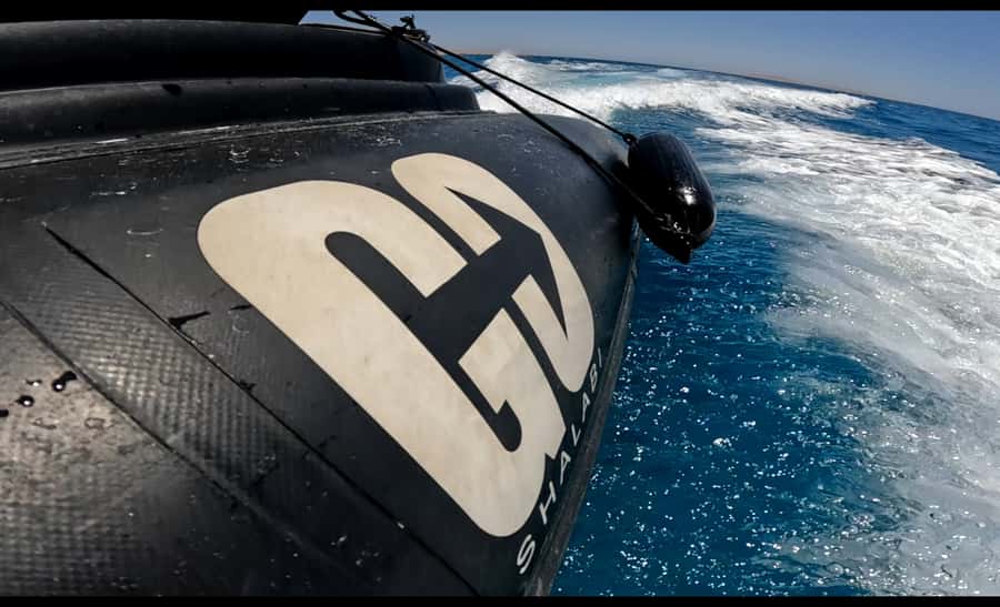 Hurghada: 3-Island Speedboat, Dolphin Watching & Snorkeling - What the crew actually does for you, and why guides get praise