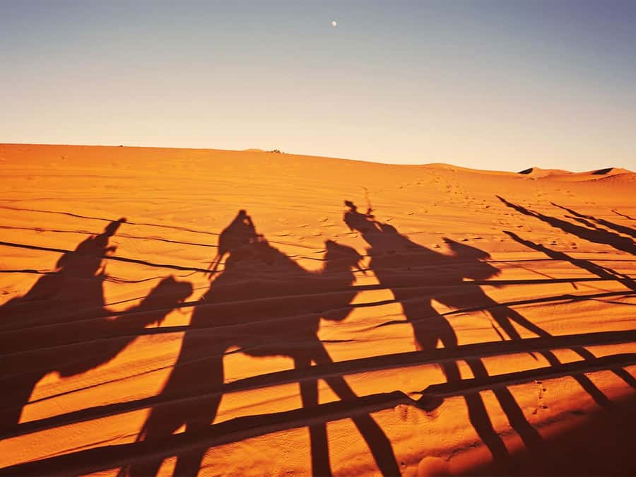 Hurghada: 6-Hour Jeep Desert Safari, Dinner, and Show - Key highlights people love