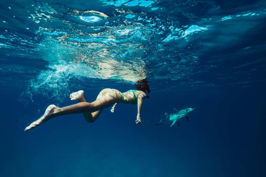 Hurghada: All-Inclusive Elite VIP Dolphin House & Massage - Key highlights to look forward to