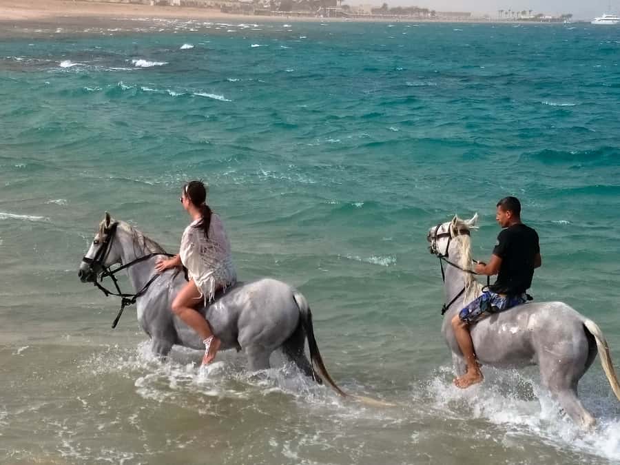 Hurghada: Arabian Desert and Sea Horseback Adventure - Sunset riding with dinner, show, and stargazing