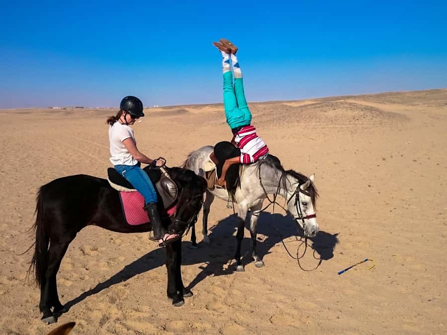 Hurghada: Arabian Desert and Sea Horseback Adventure - VIP 4-hour horse riding with the Red Sea swim stop