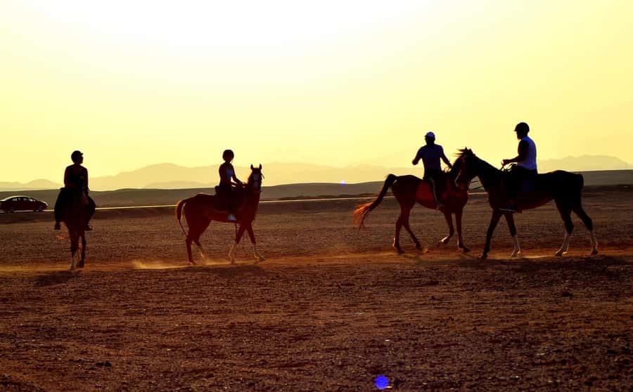Hurghada: Arabian Desert and Sea Horseback Adventure - Quad plus horse: for people who want more than one adrenaline flavor