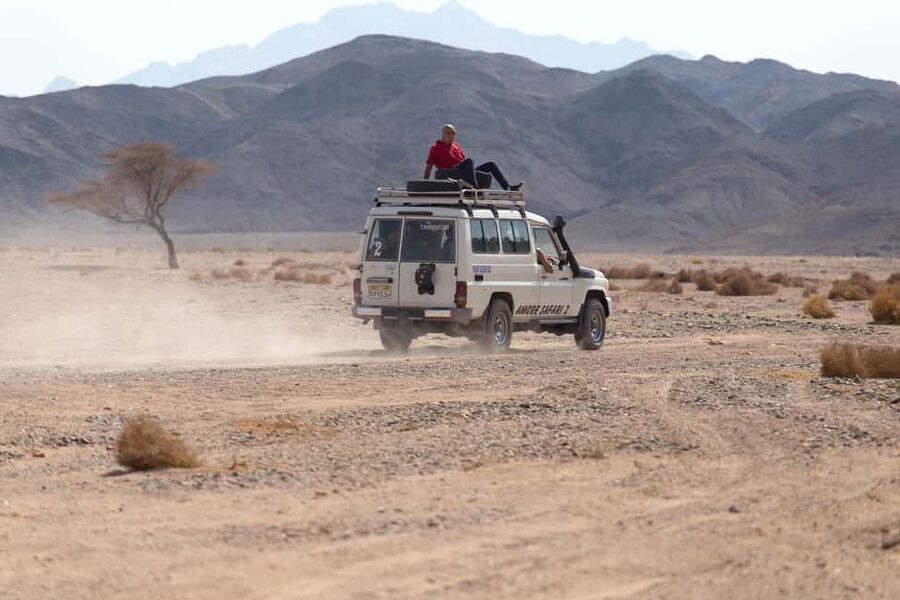 Hurghada: ATV Quad, Jeep and Buggy Safari with BBQ Dinner - The Bedouin Camp Stop: Tea, Bread, and the Animal Question