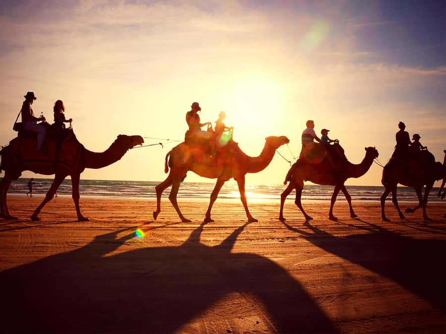 Hurghada: ATV Safari Tour with Camel Ride - Getting to the Desert: Hotel Pickup Times and Transfer Choices