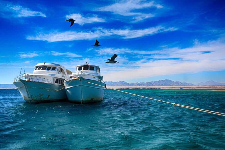Hurghada: Beginners Scuba Diving Full-Day Boat Trip & Lunch - Gear, Packing, and Comfort Tips That Actually Matter