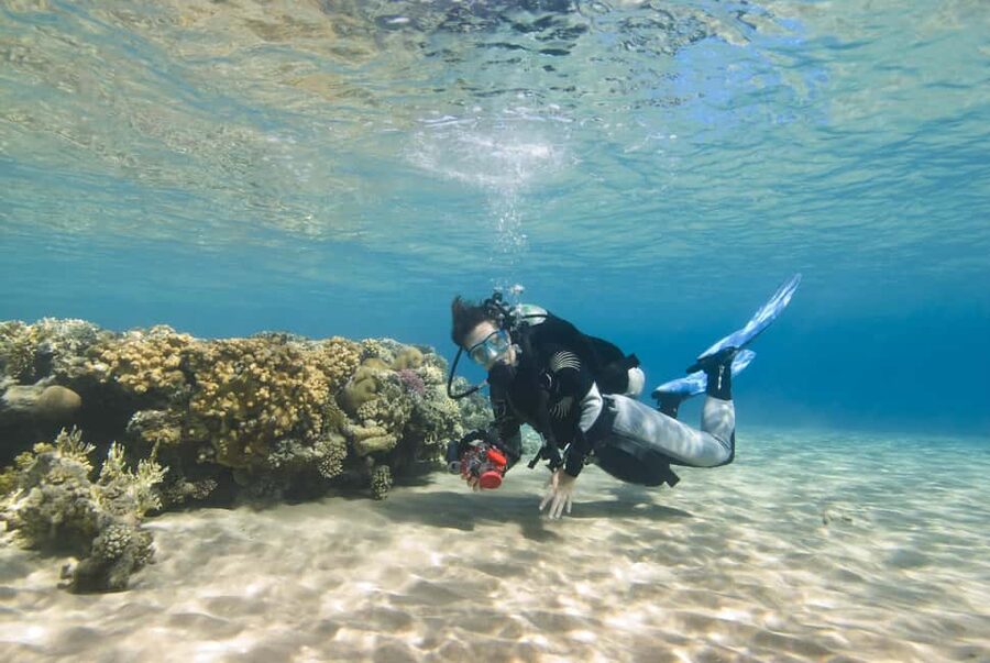 Hurghada: Beginners Scuba Diving Full-Day Boat Trip & Lunch - Who This Trip Fits, and Who Should Skip It