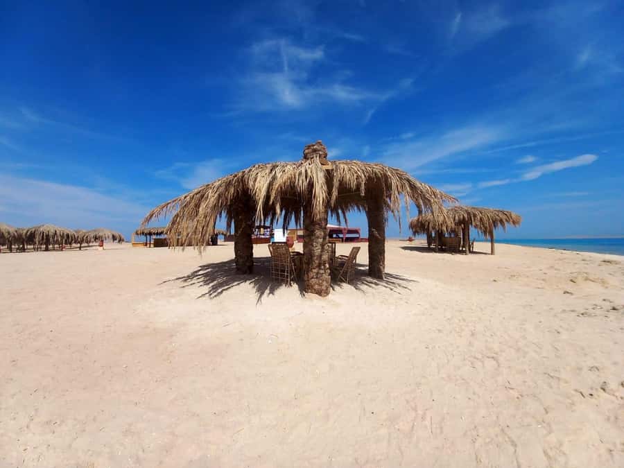 Hurghada: Boat trip to Magawish island with Multi Options - The snorkeling portion: two stops and real support in the water