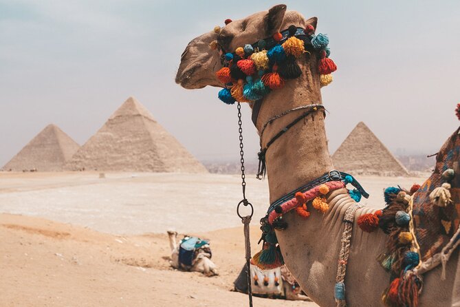 Hurghada: Cairo and Giza Highlights by mini Van with BBQ Lunch - Stop 1 at the Pyramids of Giza: you get the icons, but plan your priorities