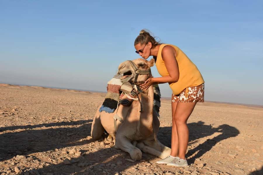 Hurghada: Camel Ride & horse ride and Off-Road Jeep Tour - Key Points You Should Know Before You Go