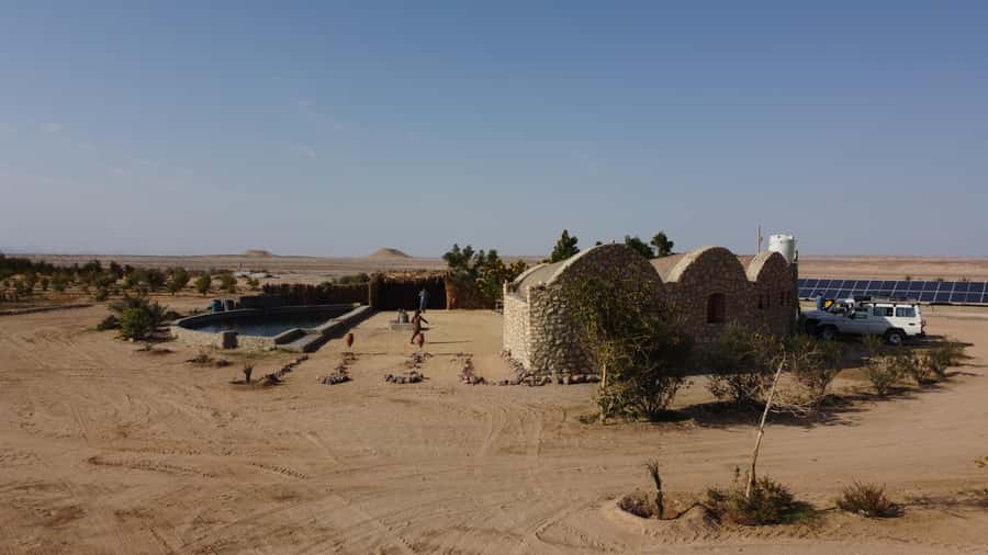 Hurghada: Camel Ride & horse ride and Off-Road Jeep Tour - Hurghada Desert, Three Experiences in One