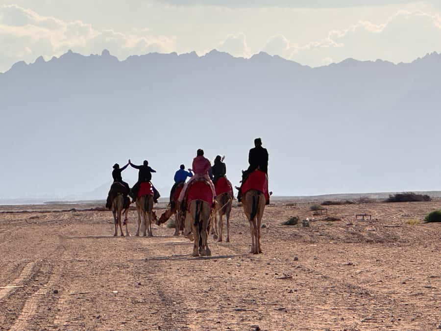 Hurghada: Camel Ride & horse ride and Off-Road Jeep Tour - Sunset Dinner and Stargazing: Why the Late Slot Feels Different