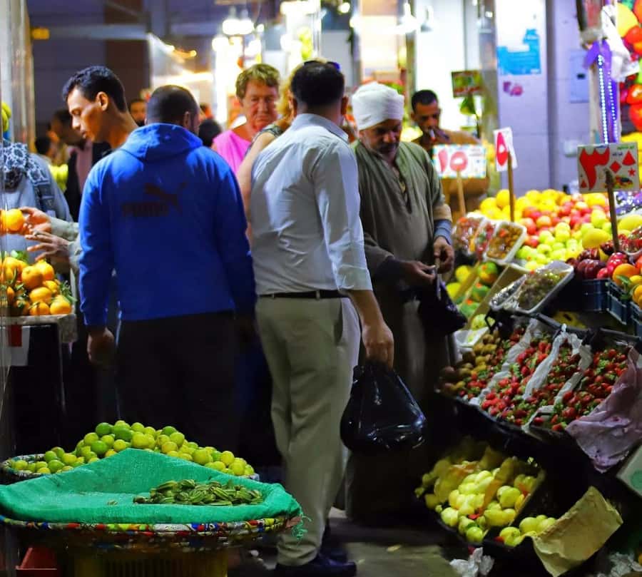 Hurghada: City Guided Tour with Local Market Stop - Who This Hurghada Tour Fits Best