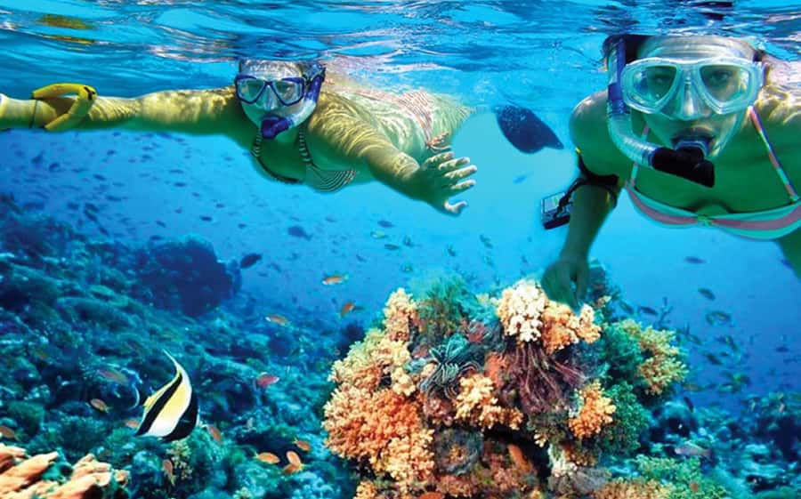 Hurghada: Day Snorkeling with Dolphins - Key things I’d flag before you book