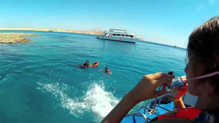 Hurghada: Day Snorkeling with Dolphins - The dolphin snorkeling sessions: what the crew actually does