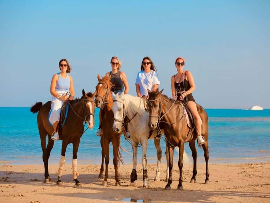 Hurghada: Desert and Sea Horseback Riding Tour with Transfer - Final Decision: Should You Book This Desert and Sea Horseback Ride?