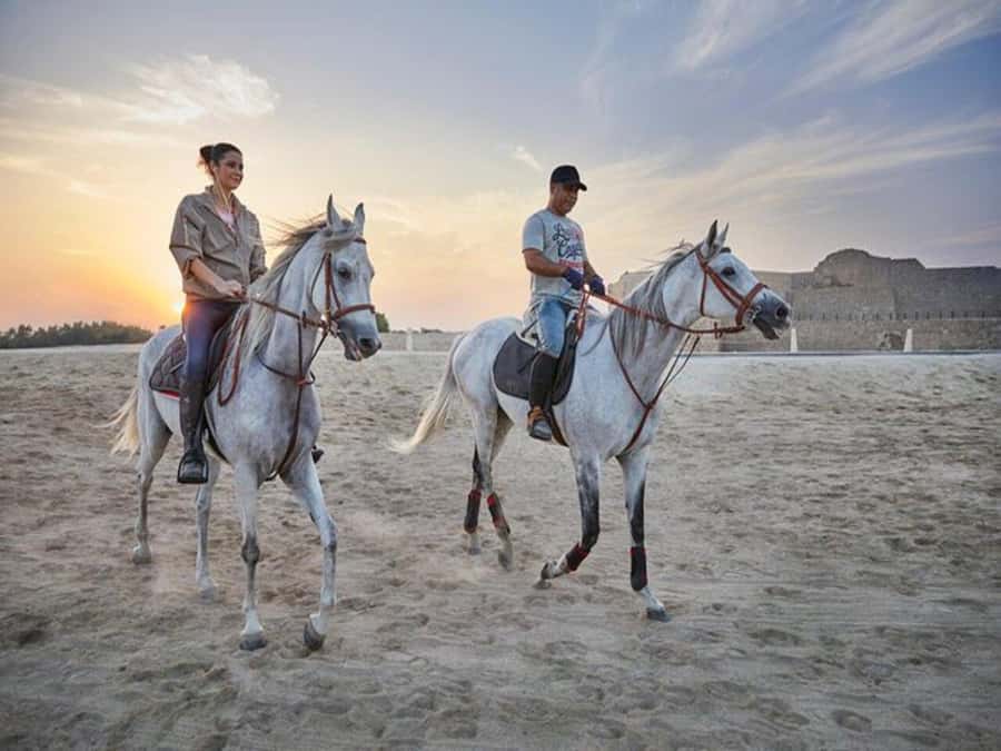Hurghada: Desert and Sea Horseback Riding Tour with Transfer - Hotel Pickup and Stable Arrival: Keeping Your Day Low-Stress
