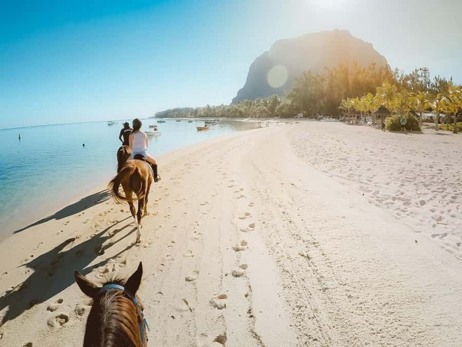 Hurghada: Desert and Sea Horseback Riding Tour with Transfer - The Desert Ride Through Hurghada’s Sand Country