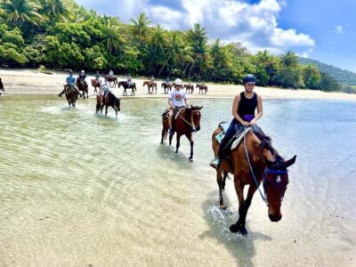 Desert and Sea Horseback Riding Tour with Transfer
